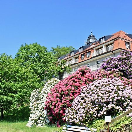 Ferienwohnung Natur Und Kunst Drážďany Exteriér fotografie